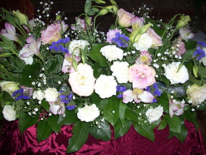 DSCN7543